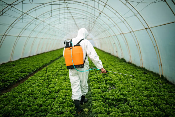 Best Affordable Pest Control Services  in Hermantown, MN