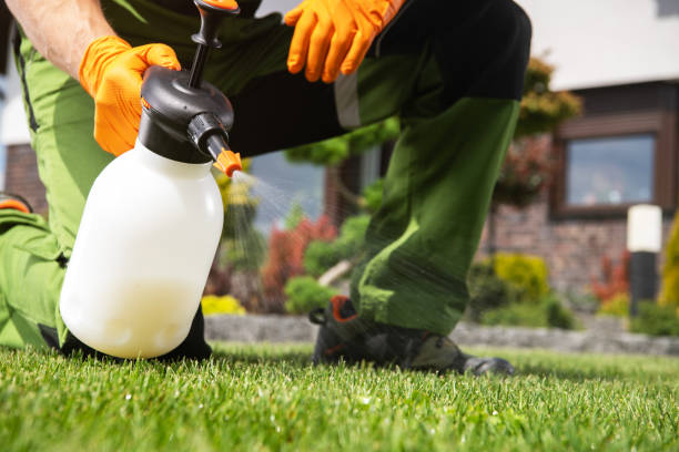 Hermantown, MN Pest Control Company