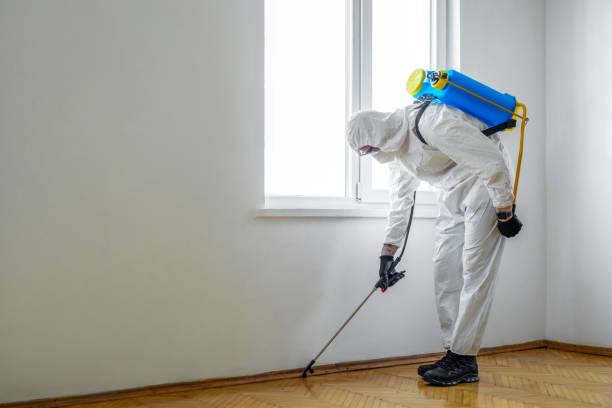 Best Pest Control Near Me  in Hermantown, MN