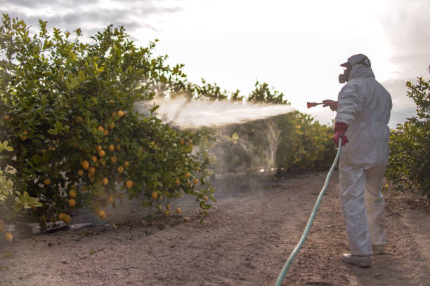 Best Best Pest Control Companies  in Hermantown, MN