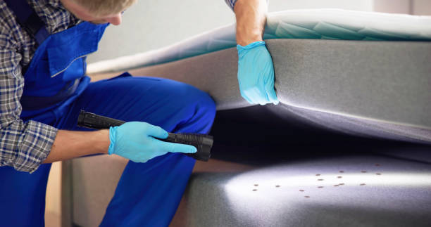 Best Residential Pest Control  in Hermantown, MN